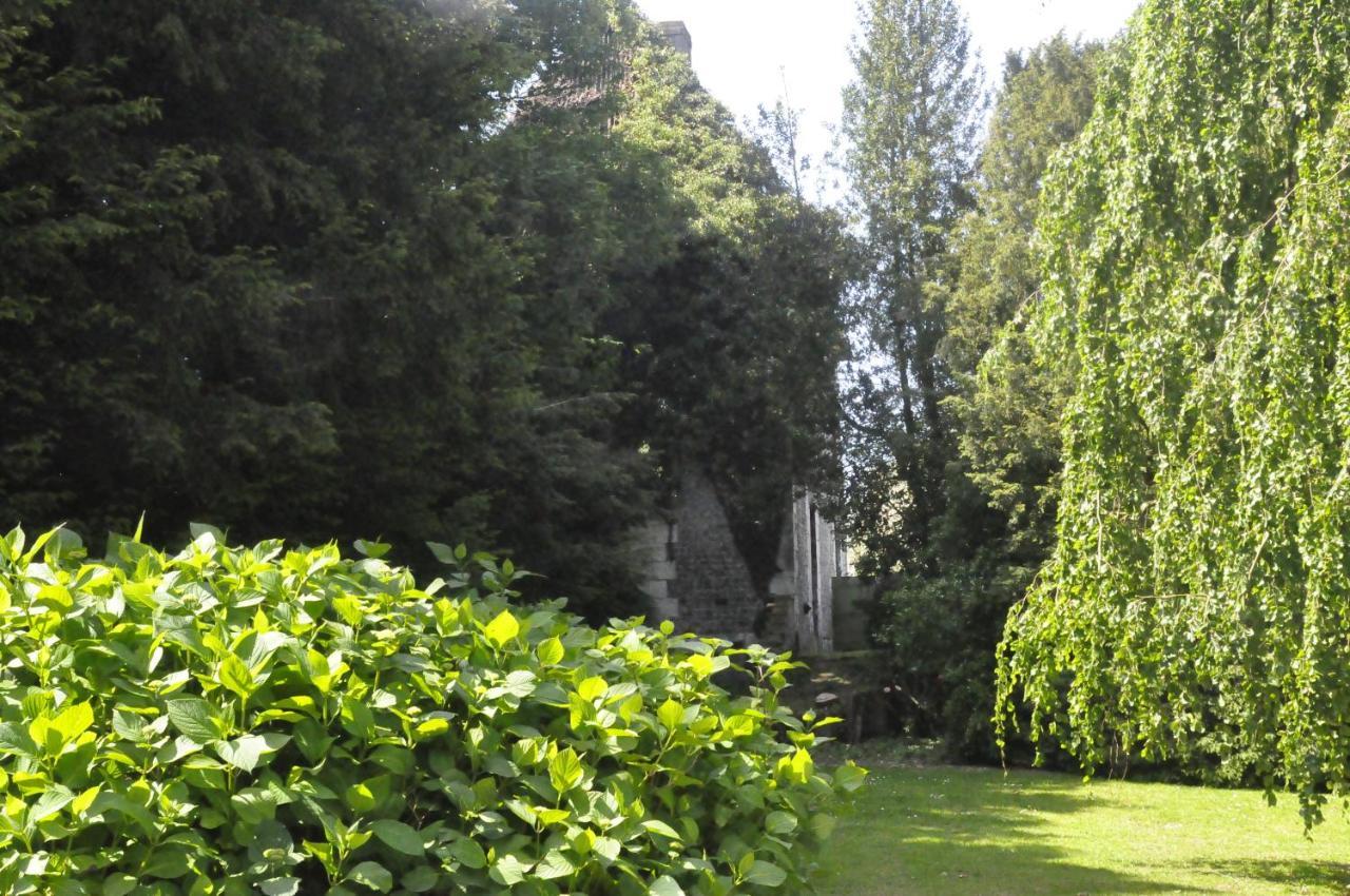 Chateau De St Sauveur D'Émalleville Exteriör bild